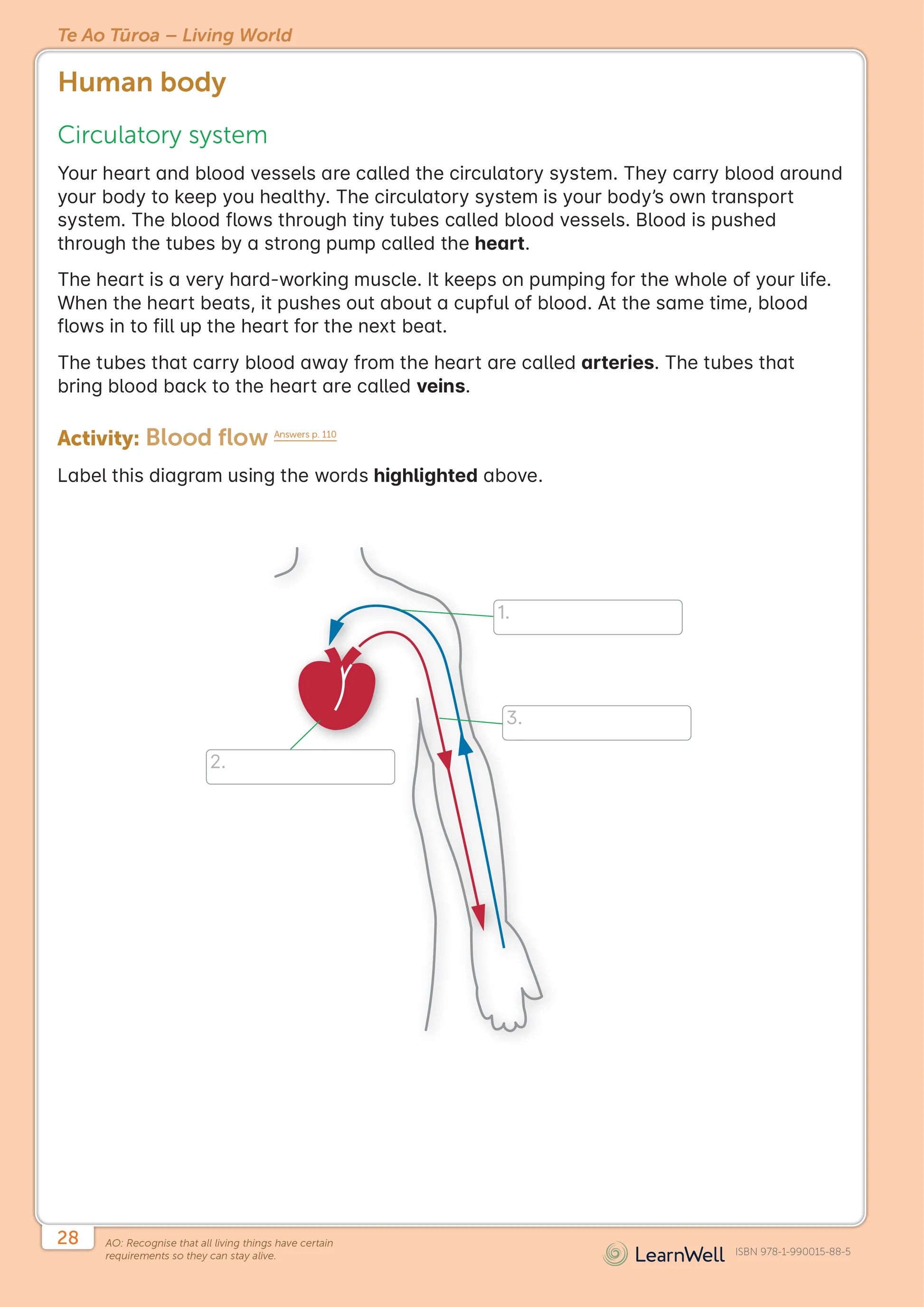 LearnWell Year 4 Science Start Right Workbook