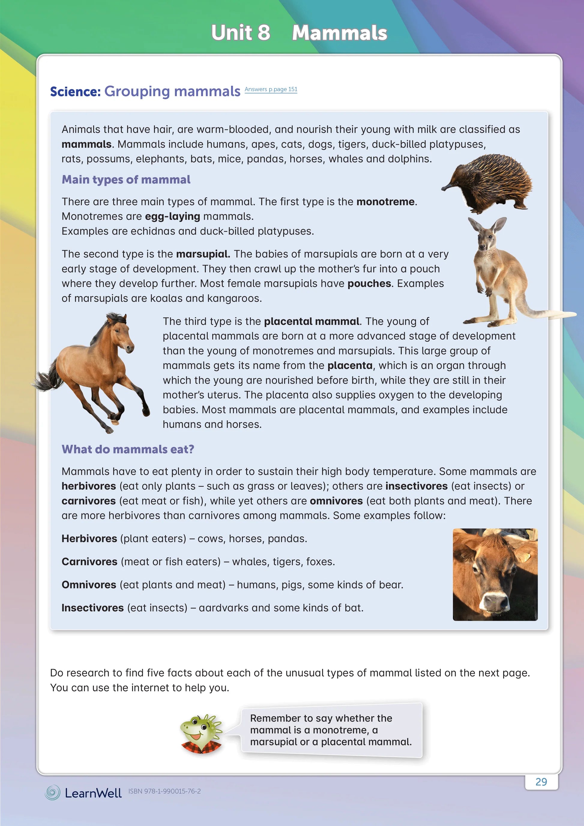 LearnWell Year 6 Homework Start Right Workbook – School Depot NZ