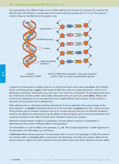 Learnwell Level 1 Biology AME Workbook – NCEA Study Guide NZ