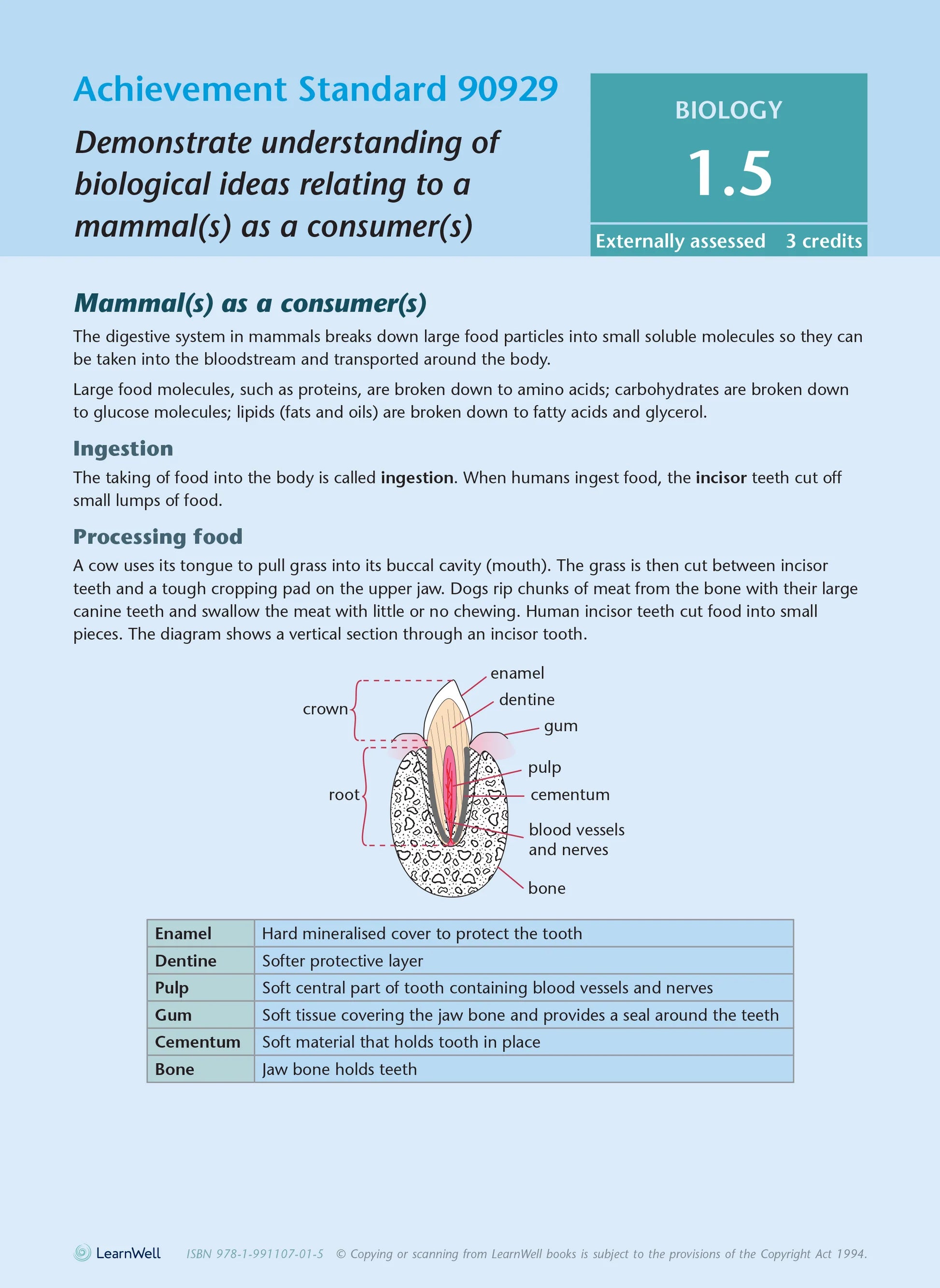 Learnwell Level 1 Biology AME Workbook – NCEA Study Guide NZ