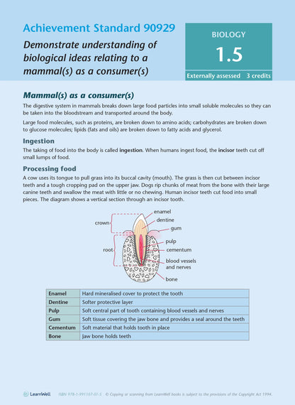 Learnwell Level 1 Biology AME Workbook – NCEA Study Guide NZ