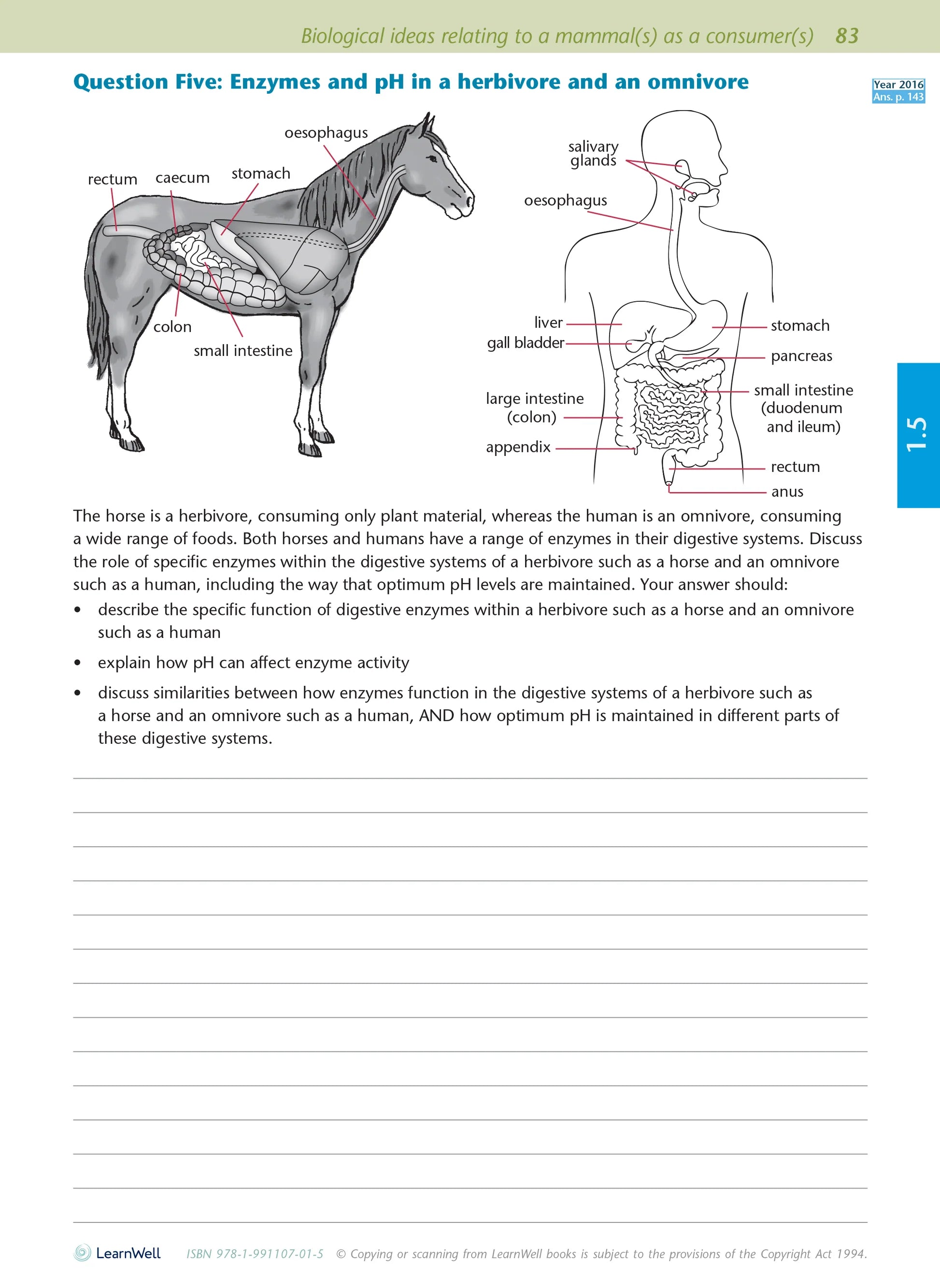 Learnwell Level 1 Biology AME Workbook – NCEA Study Guide NZ