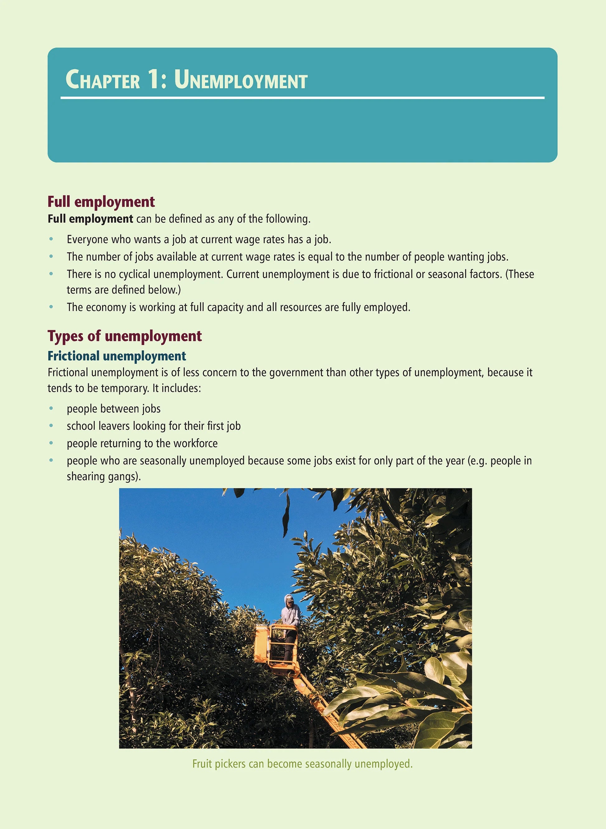 Learnwell Level 2 Analysing Unemployment 2.4 Workbook | NCEA Economics