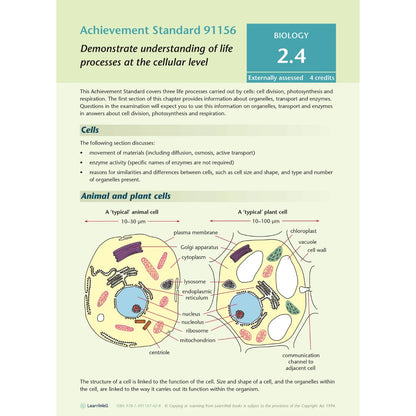 Learnwell Level 2 Biology AME Workbook – NCEA Study Guide