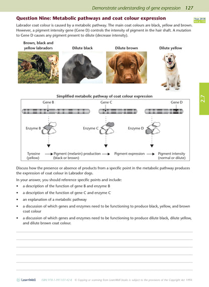 Learnwell Level 2 Biology AME Workbook – NCEA Study Guide