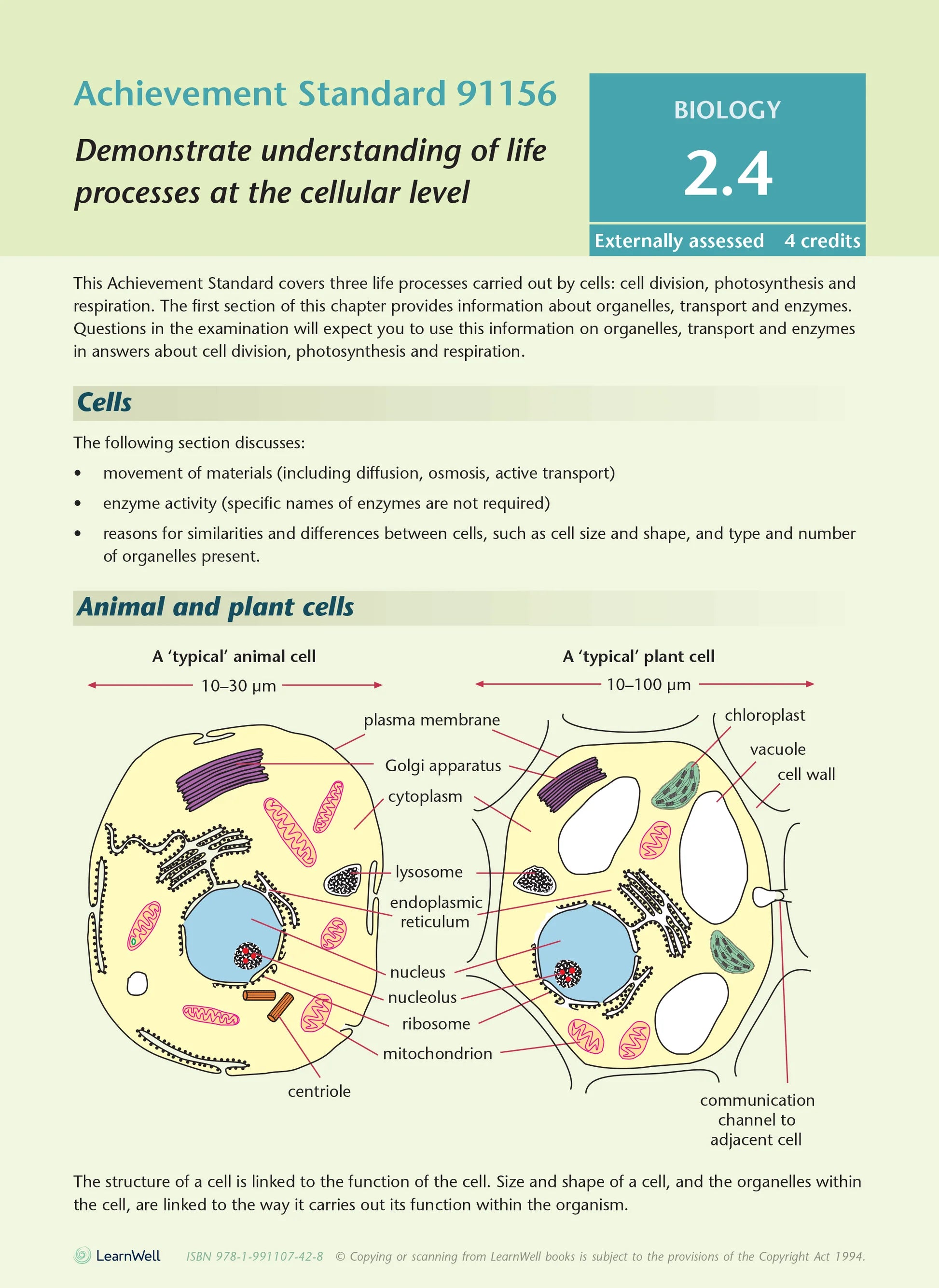 Learnwell Level 2 Biology AME Workbook – NCEA Study Guide
