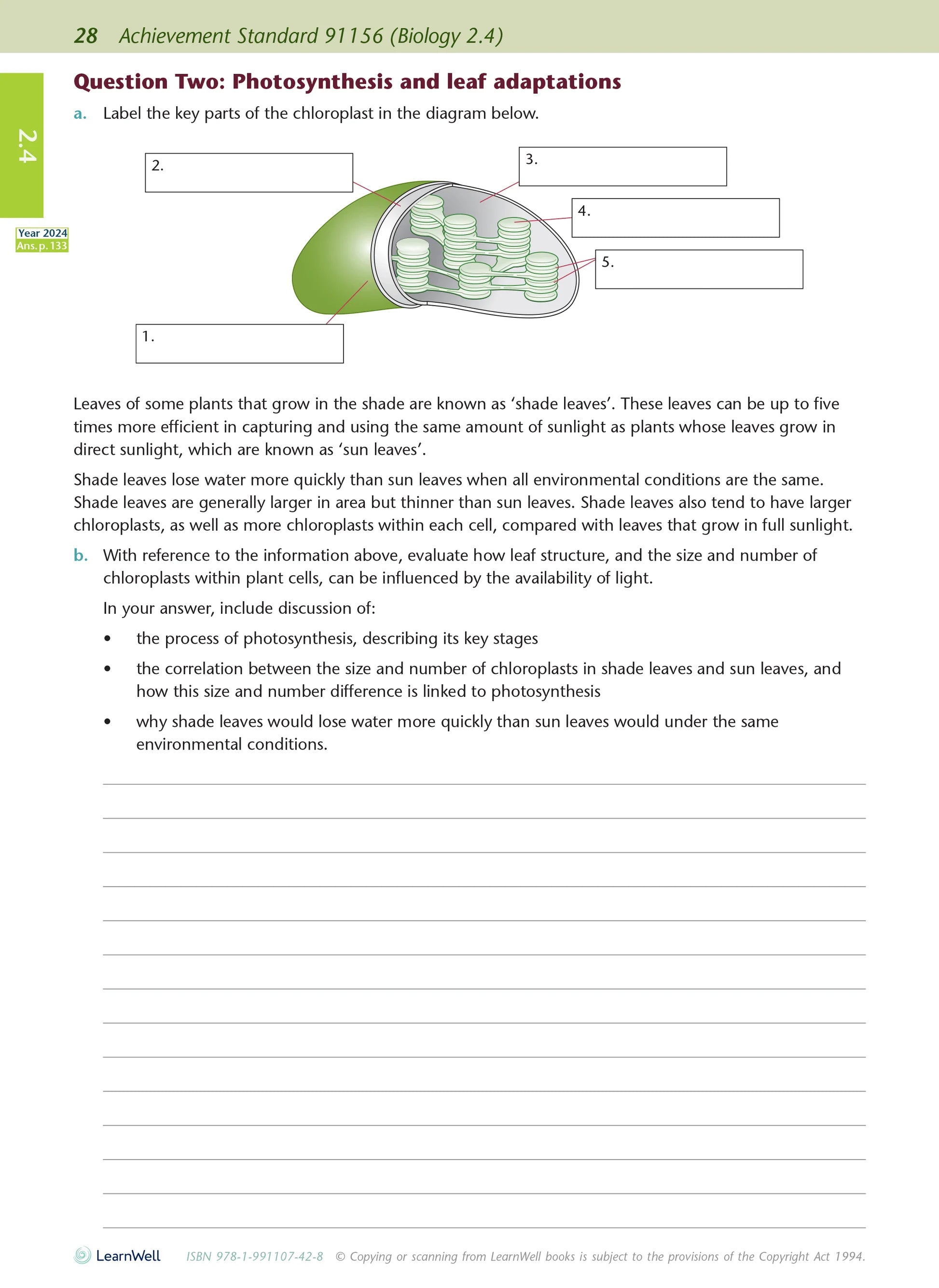 Learnwell Level 2 Biology AME Workbook – NCEA Study Guide