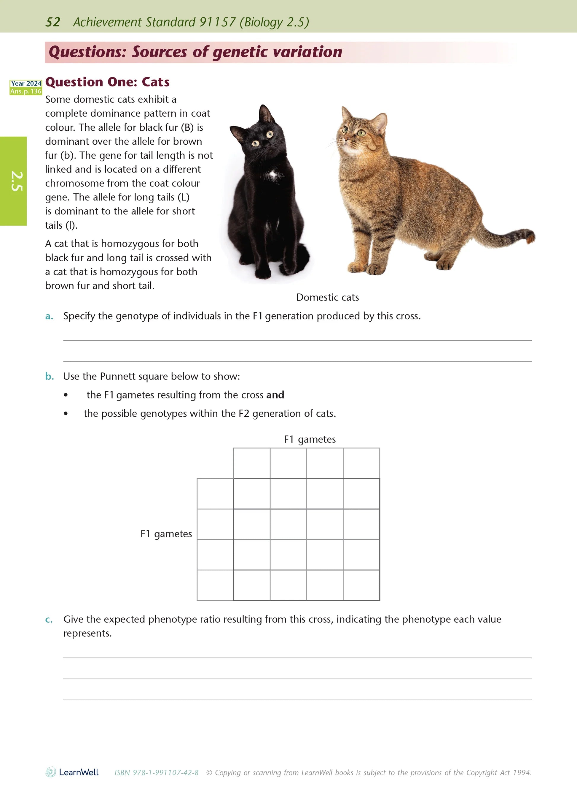 Learnwell Level 2 Biology AME Workbook – NCEA Study Guide