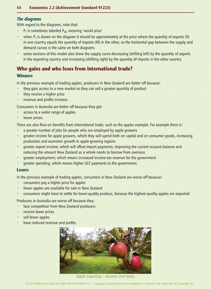 Learnwell Level 2 Economics Learning Workbook | NCEA
