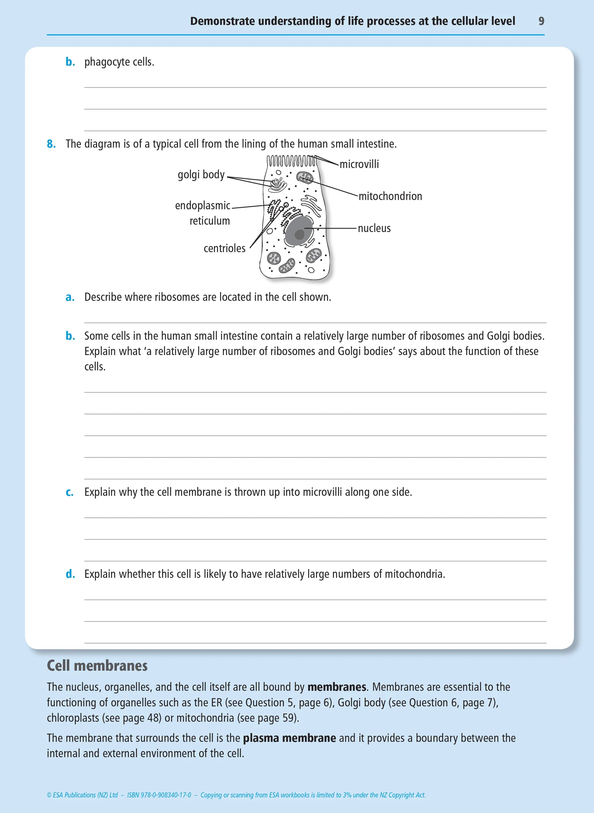 Level 2 Biology Externals Learning Workbook