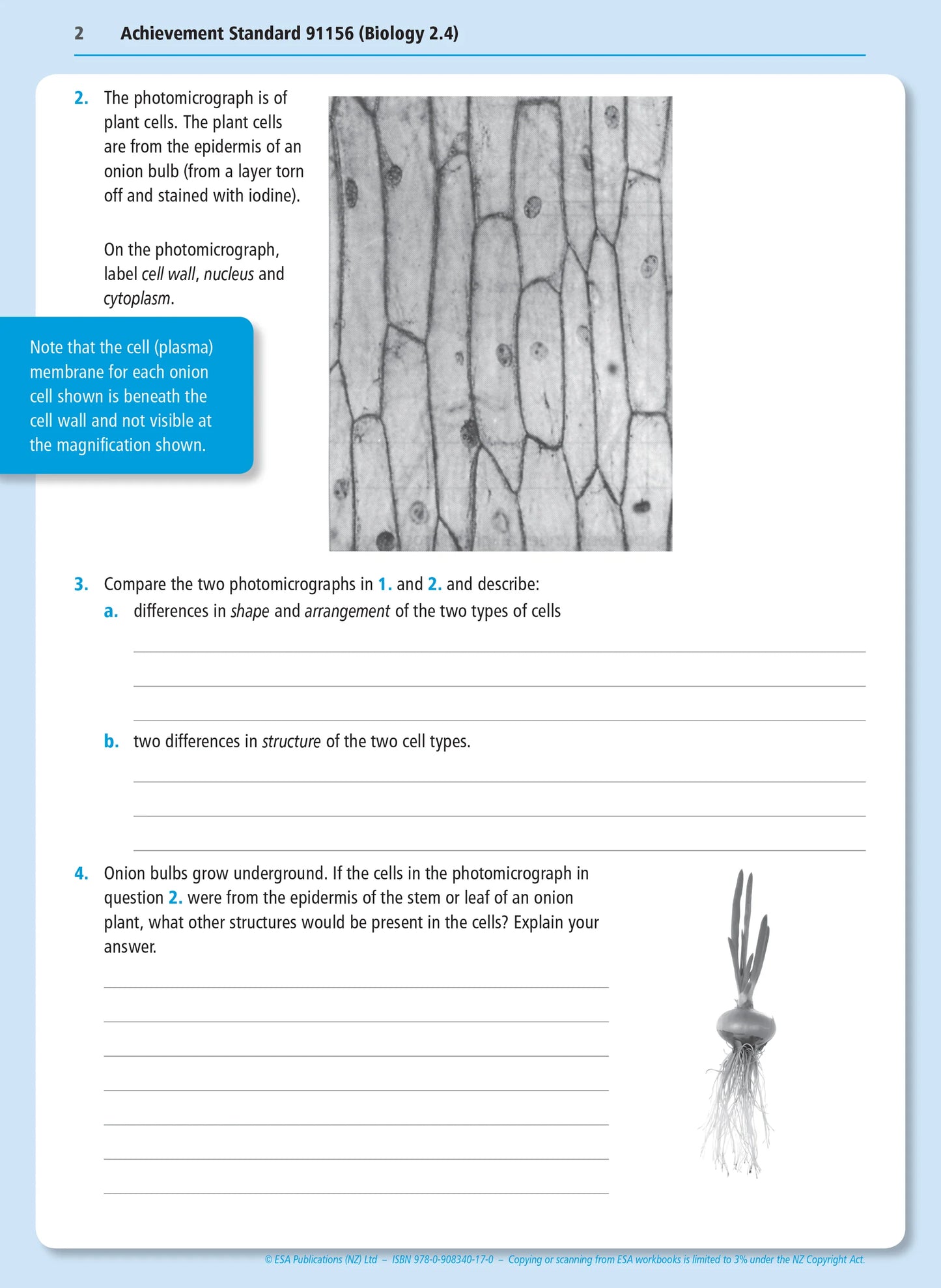 Level 2 Biology Externals Learning Workbook