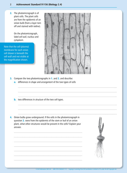 Level 2 Biology Externals Learning Workbook