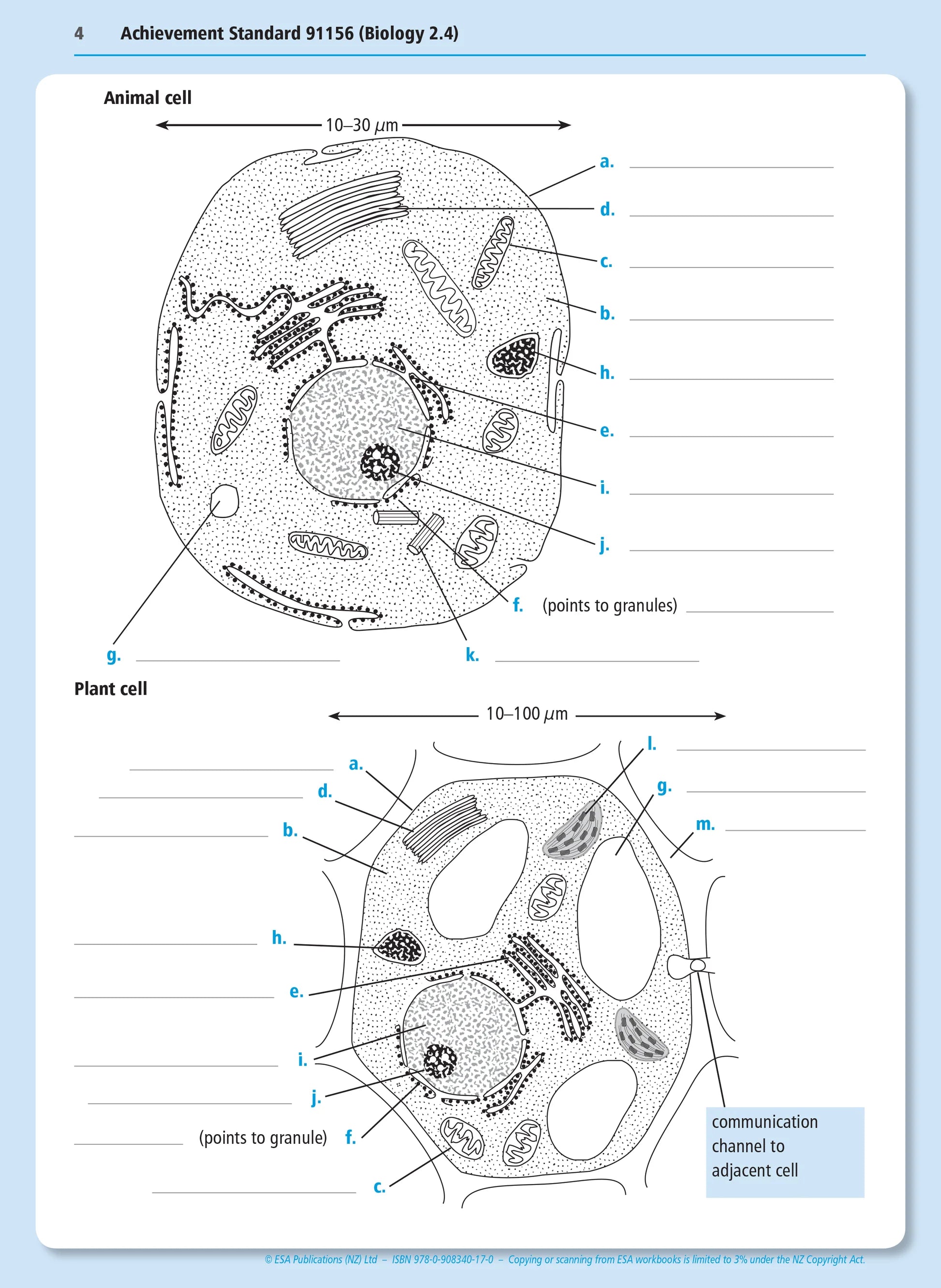 Level 2 Biology Externals Learning Workbook