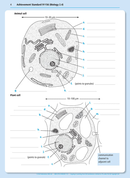 Level 2 Biology Externals Learning Workbook