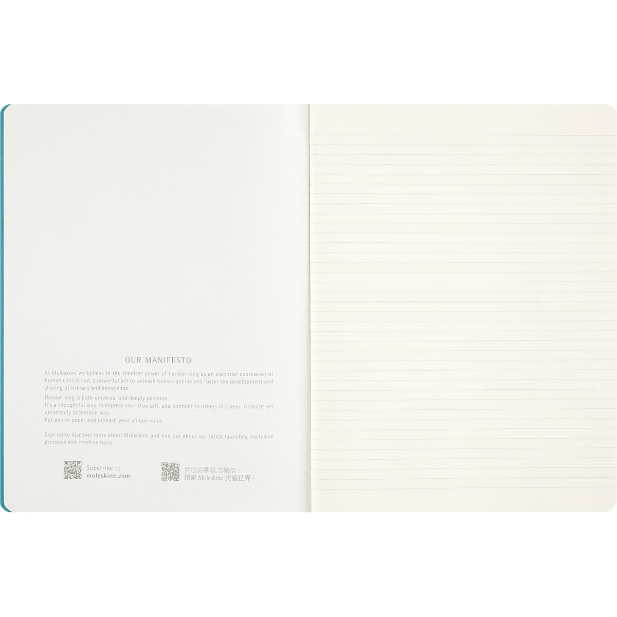 Moleskine LE Cahier Journals Peanuts XL Ruled – Pk 3
