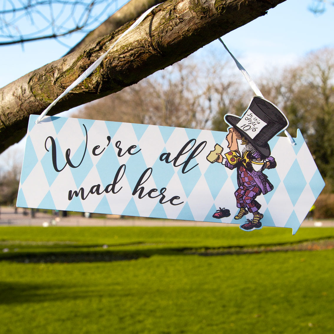 Talking Tables Truly Alice Most Curious Paper Party Signs Pack of 12