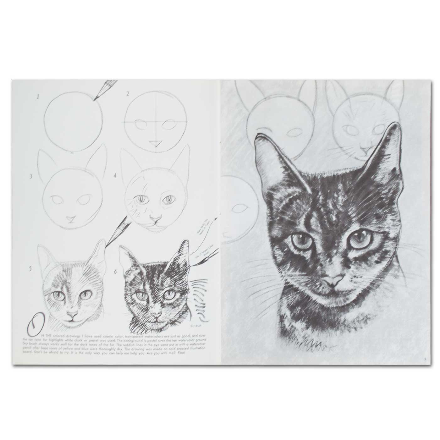 Walter Foster's How to Draw and Paint Cats
