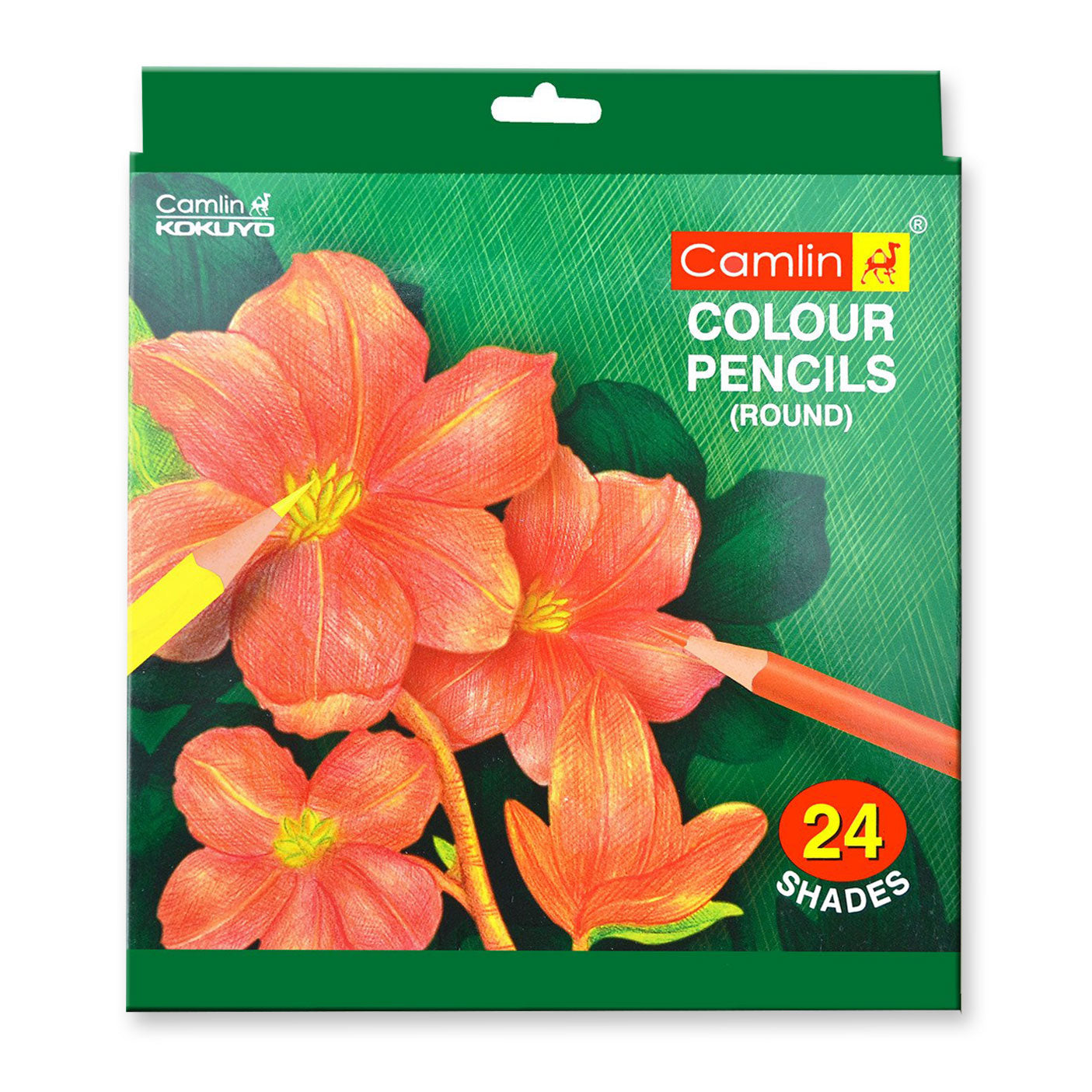 Camlin Colouring Pencils 24 Shades