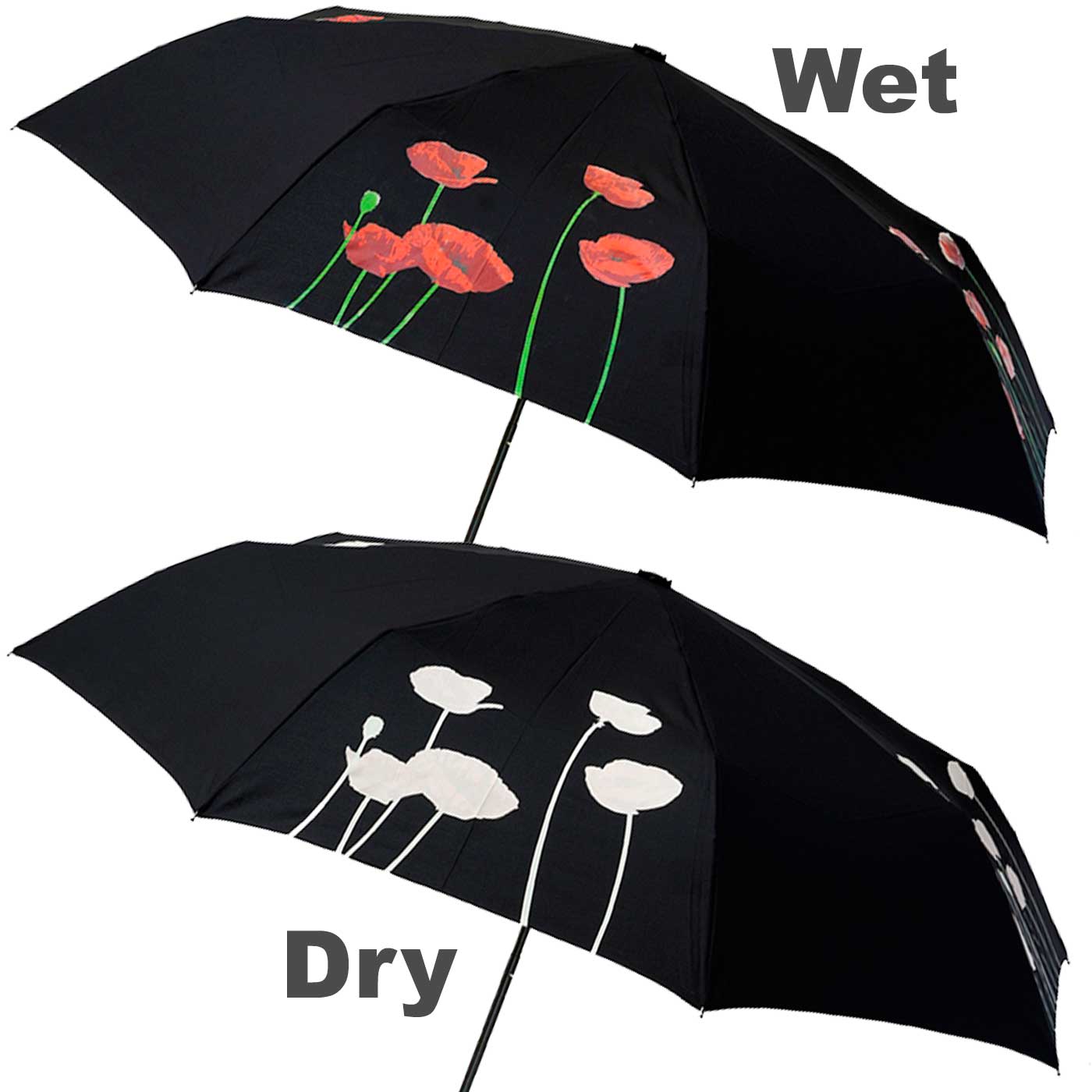 Clifton Folding Umbrella Colour Changer Magic Poppies