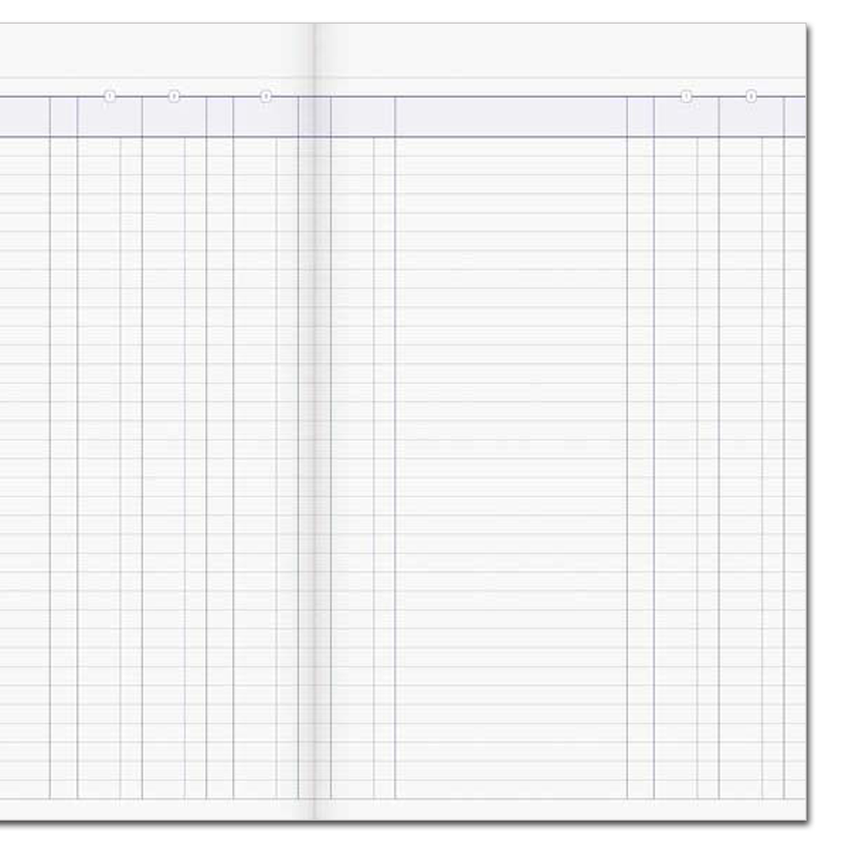 Money Column Milford A4 3 Money Column 1R8 26 Leaf Limp Account Book – School Depot NZ