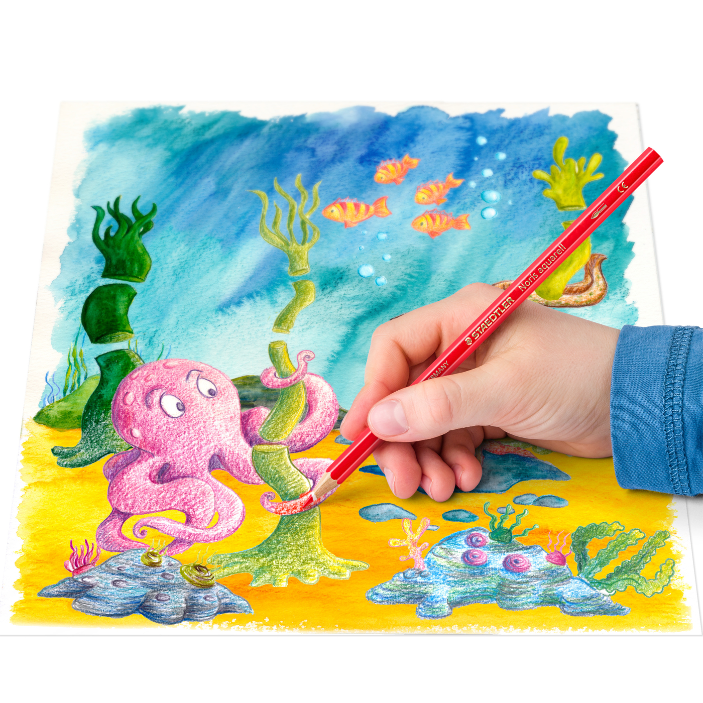 Staedtler Aquarell Watercolour Pencils Noris Club 12 Pack