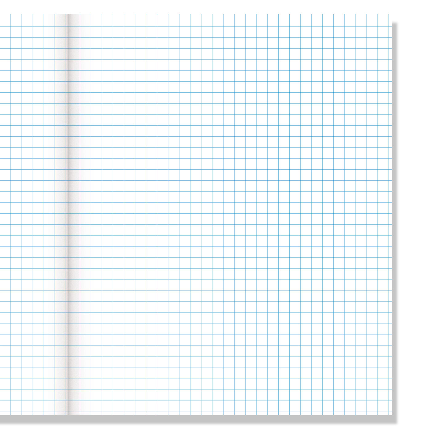 WARWICK EXERCISE BOOK 1E5 48 LEAF EXTRA QUAD 7MM 255X205MM inside pages