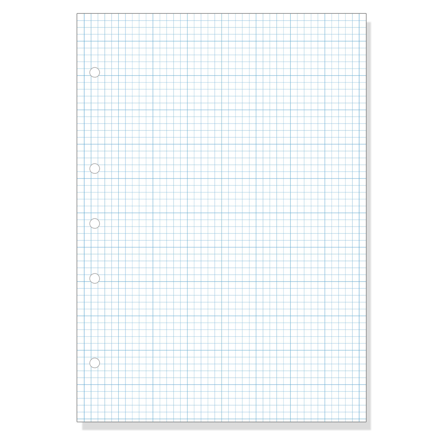 Warwick 14J8 A4 Graph Loose Leaf Refill 5mm Quad 40 Leaves Page View
